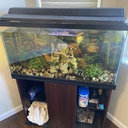 Fish Tank 32 Gallons 