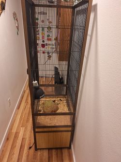 Bird Cage