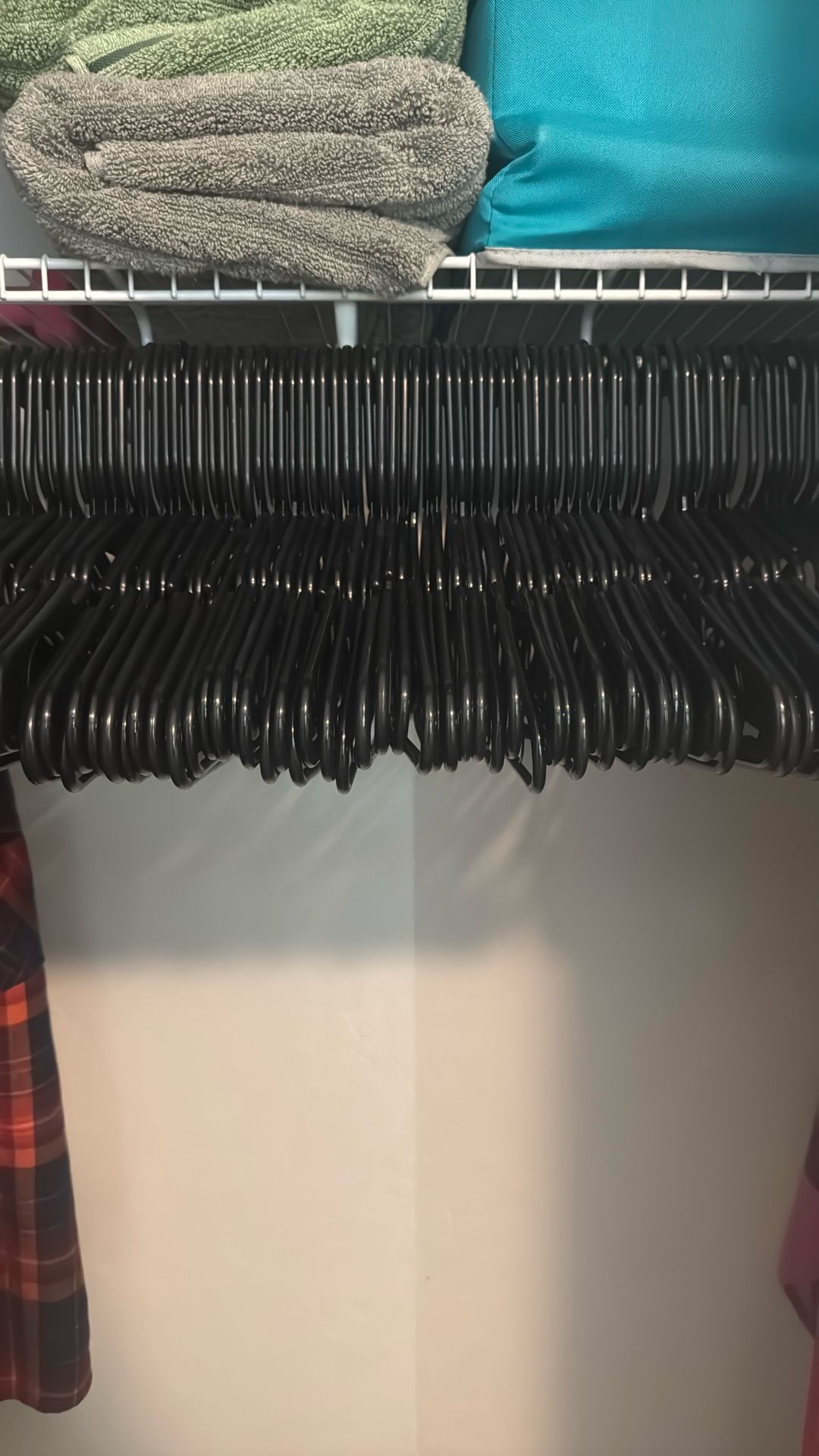 Plastic Hangers (100)
