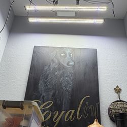 LED Grow light For Vegetative Stage