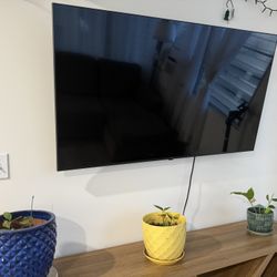 LG 55 Inch TV