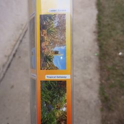 Back Ground For Reptiles 40 Gal Tank 