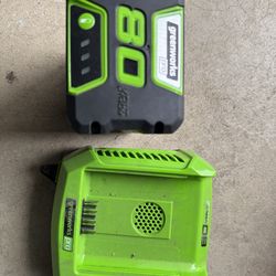 Greenworks 80 volt battery and charger