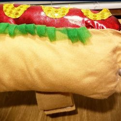 Hot DOG 🌭 🐕 Costume $10