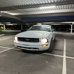 Mustang 2005 Premium 