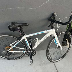 Fuji 3.0 LE 10 Speed