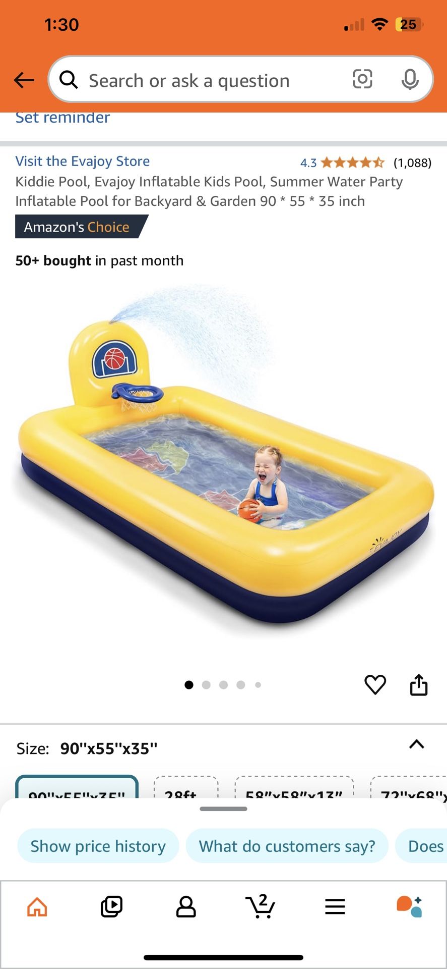 Evajoy Pool With Basketball Hoop