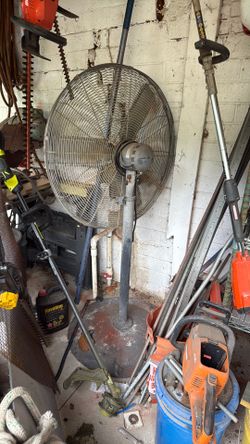 Fan