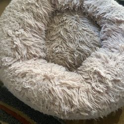 Medium Pet Bed FREE
