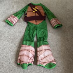 Haloween Ninja Turtle Costume