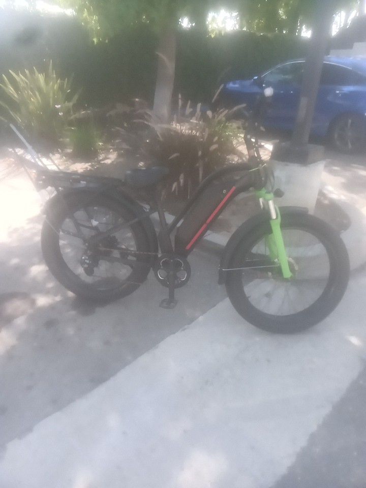 Dirwin Pioneer Plus Hunting Electric Bike
