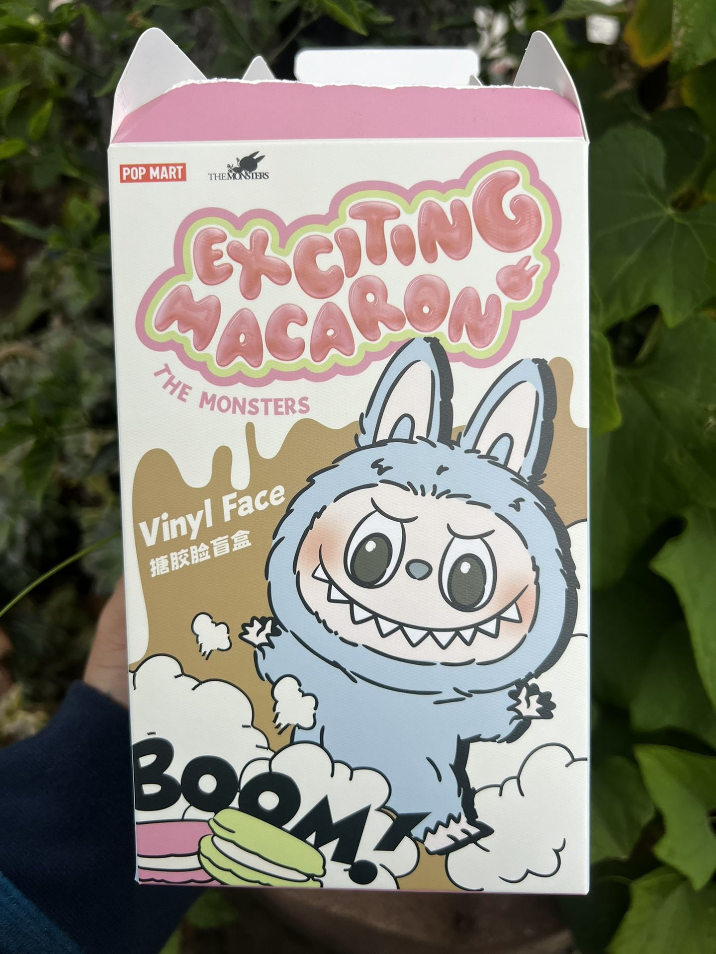 Exciting Macaron Labubu