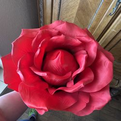 4ft Rose 🌹
