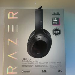 Headphones (Razer)