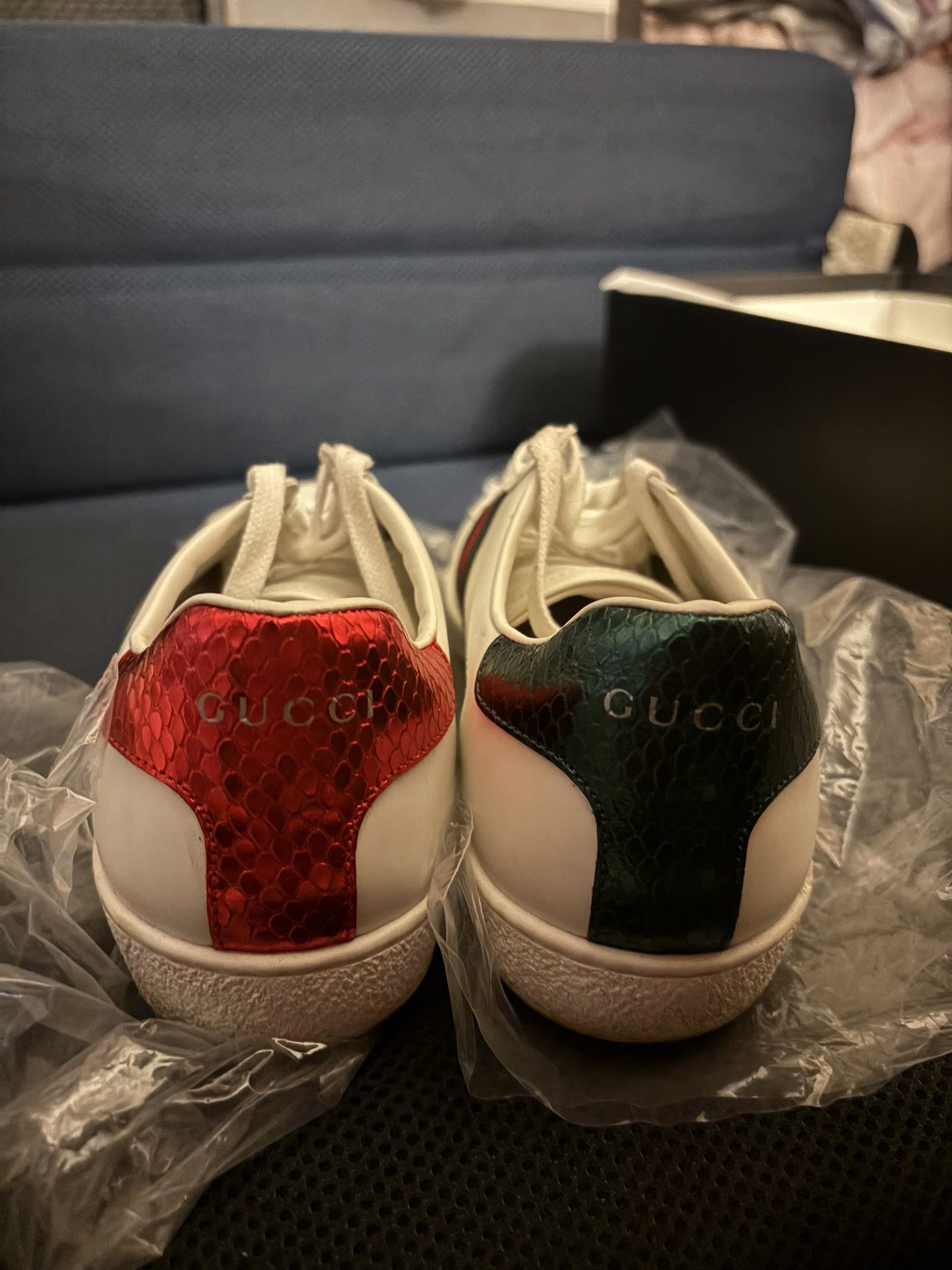 Gucci sneakers