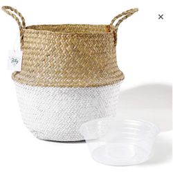 Seagrass Plant Basket