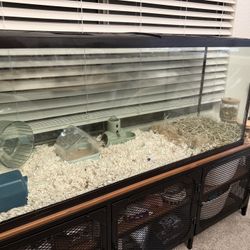 Hamster Cage