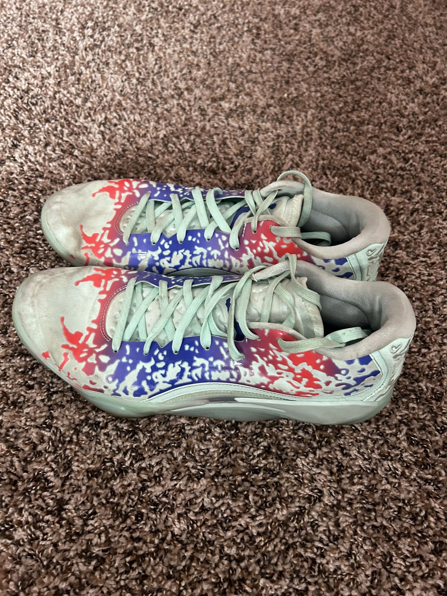 Zion Basketball Shoe Size 11.5