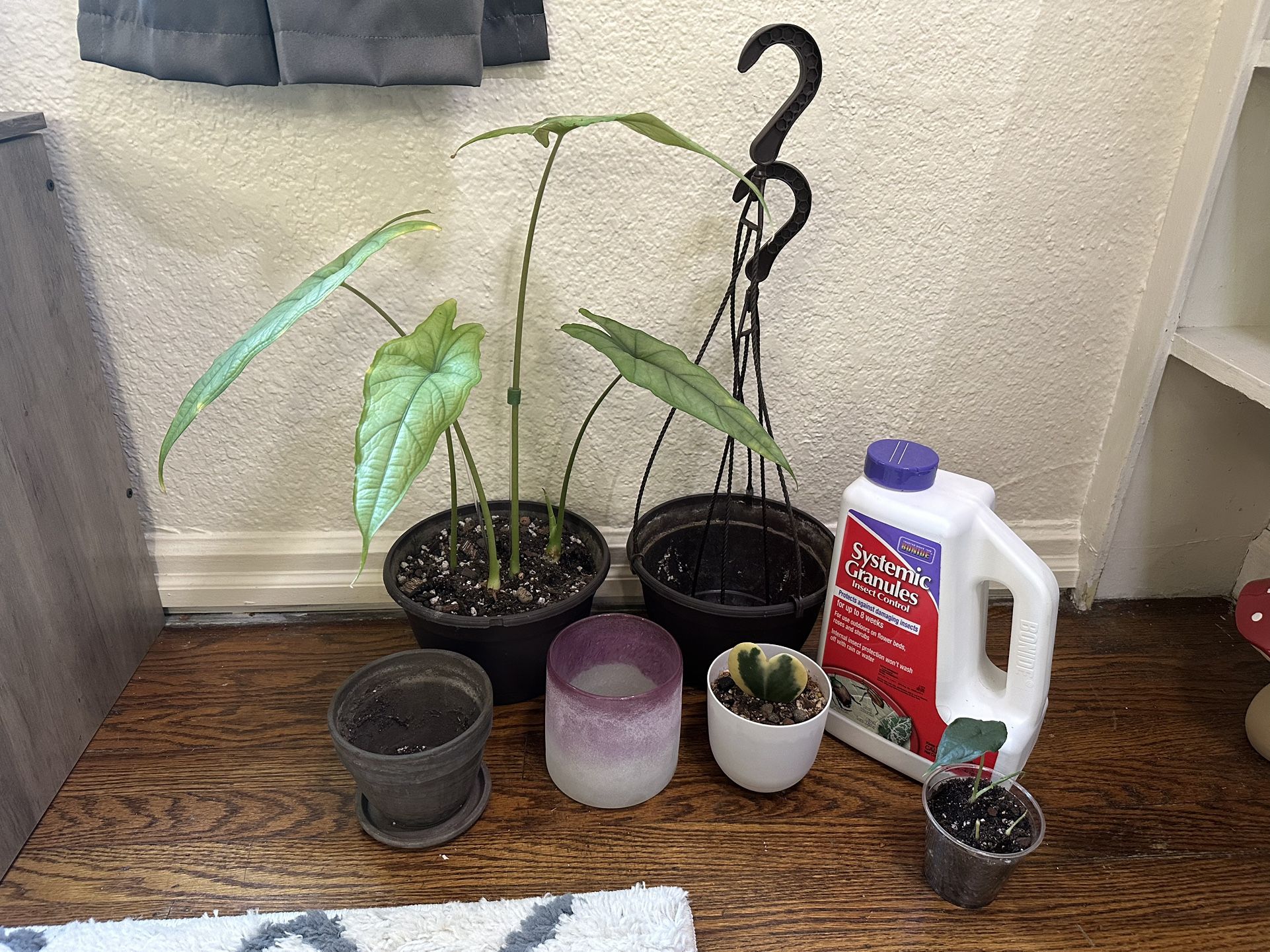 Plant Bundle