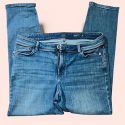 J. Jill Women's Straight Leg Blue Jeans