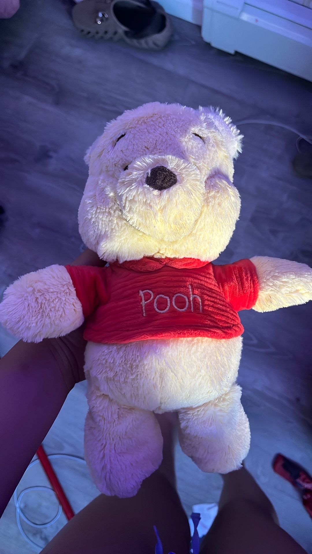 Winnie The Pooh Baby Plushie