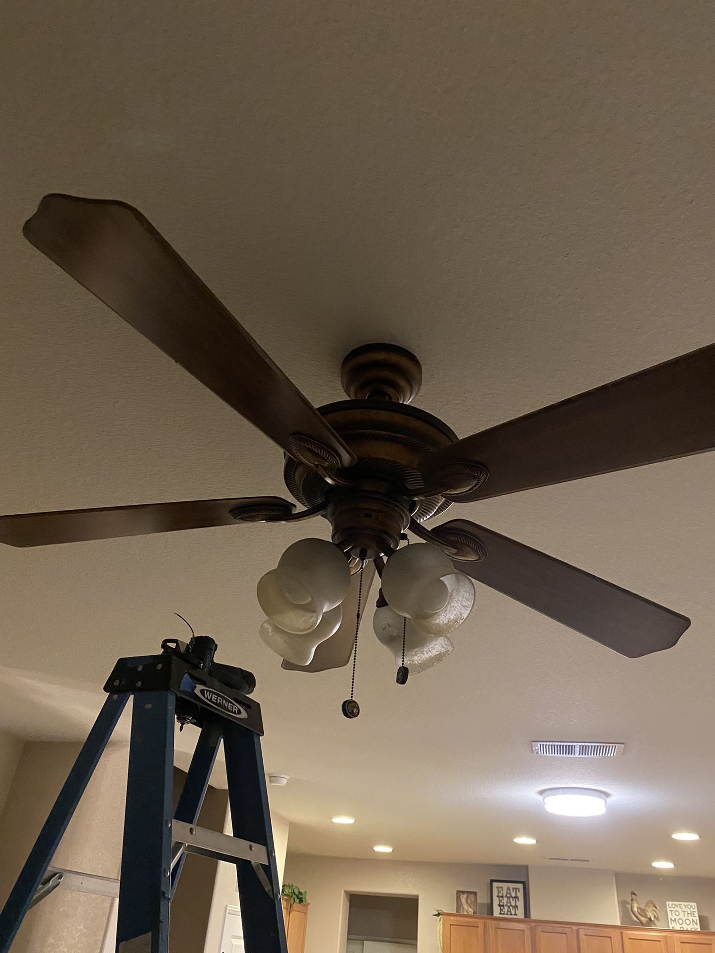 Ceiling fan