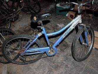 Bicycle Repairman Special