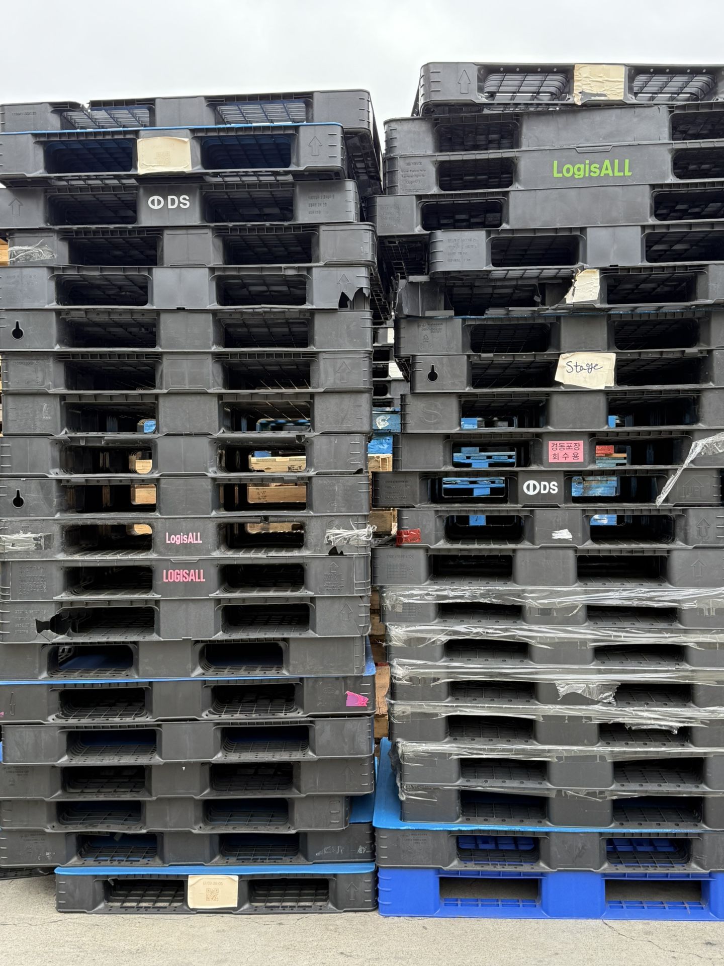Plastic Pallets