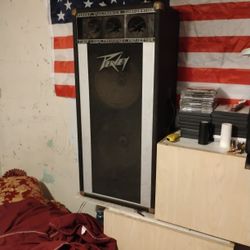 2 Peavey Speakers 