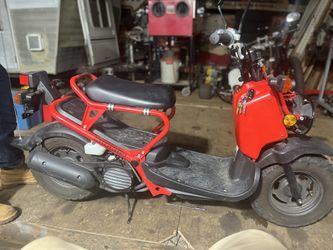 2003 Honda Ruckus