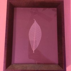Leaf Protrait
