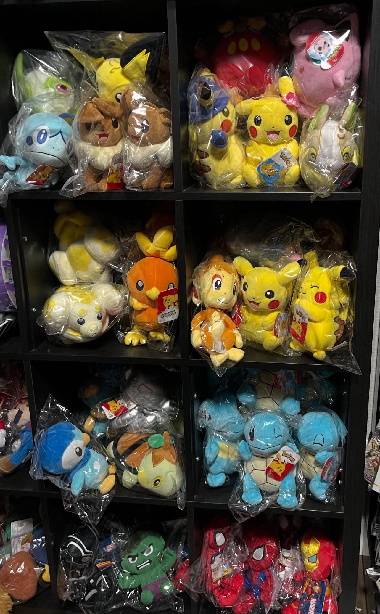 Pokemon Plushies new