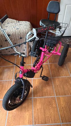 Electric trike