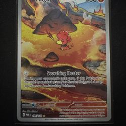 Pokemon Card Collection