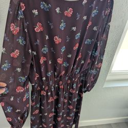 Express Size large Flowery Dress