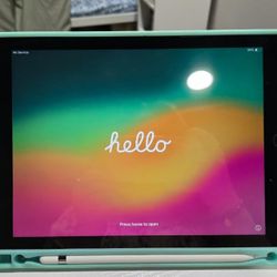 iPad (5th generation)