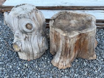 2 large stumps