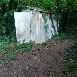 Free Shed 