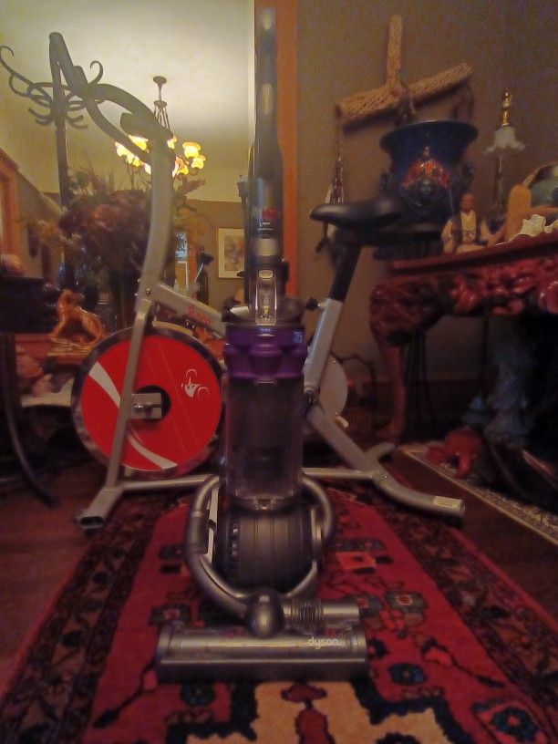 Dyson DC25