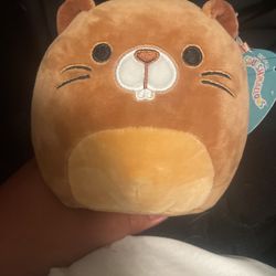 Chip Squishmellow 5