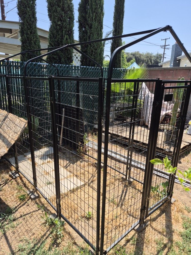 Dog Kennel Run
