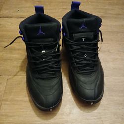 Air Jordan 12 “Dark concord” 