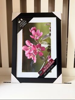 NEW studio picture frame 16x24x & 18x24 each $25