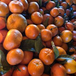 Sweet Mandarins 