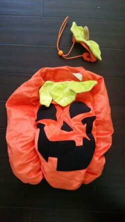 New dog costume pumpkin halloween l large