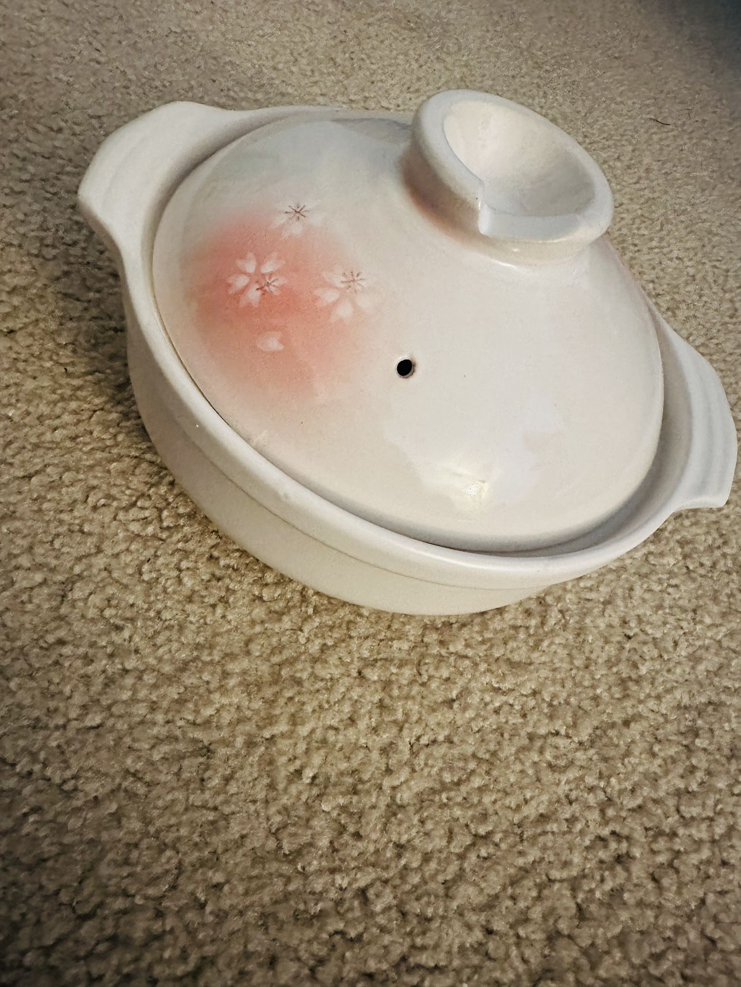 Earthen Pot - Cherry Blossom 21 Sm 