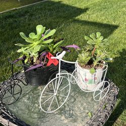 Metal Bike Planters