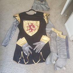 Knight Costume  Thumbnail