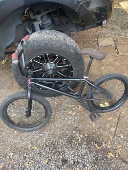 21” Sunday Scout
