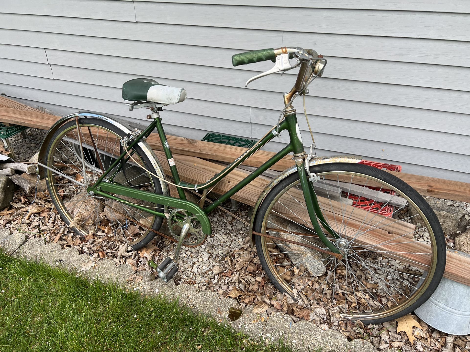 1960s Schwinn Bicycle Green and White